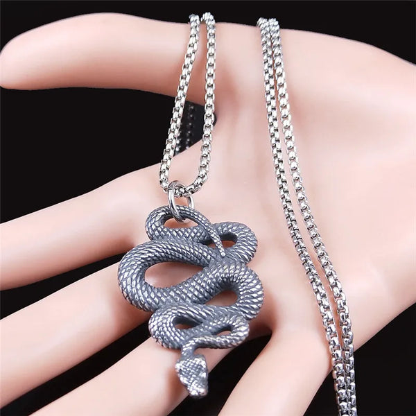 Witchcraft Snak Stainless Steel Long Necklaces Men Silver Color Chain Necklace