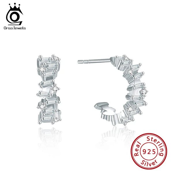 Personality Irregular Curved  925 Silver Stud Earrings