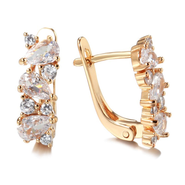 New Shiny Claw Zircon Earrings for Women