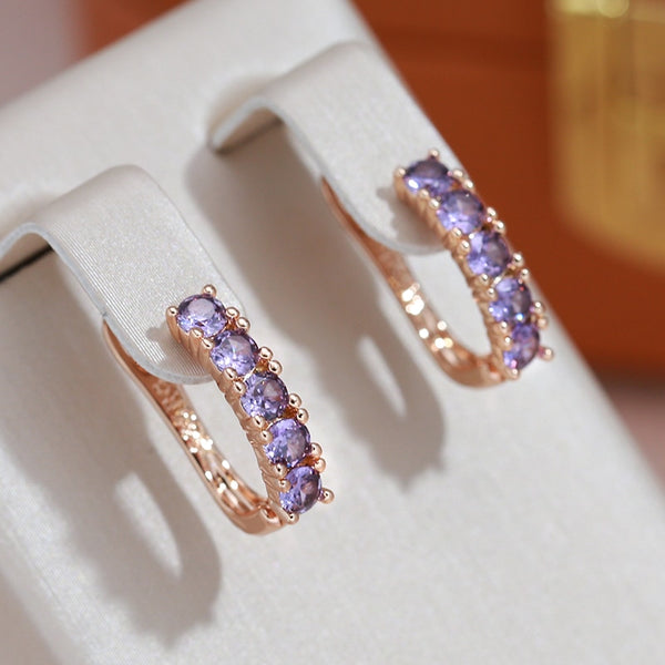 Classic Full Inlay Round Purple Zircon Drop Earrings