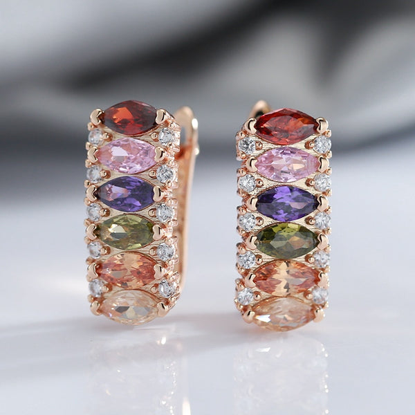 Luxury Double White Zircon With Multicolor Zircon Women's Earrings