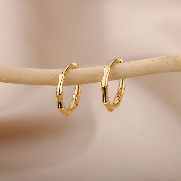 Stainless Steel Bamboo Hoop Earrings For Woman