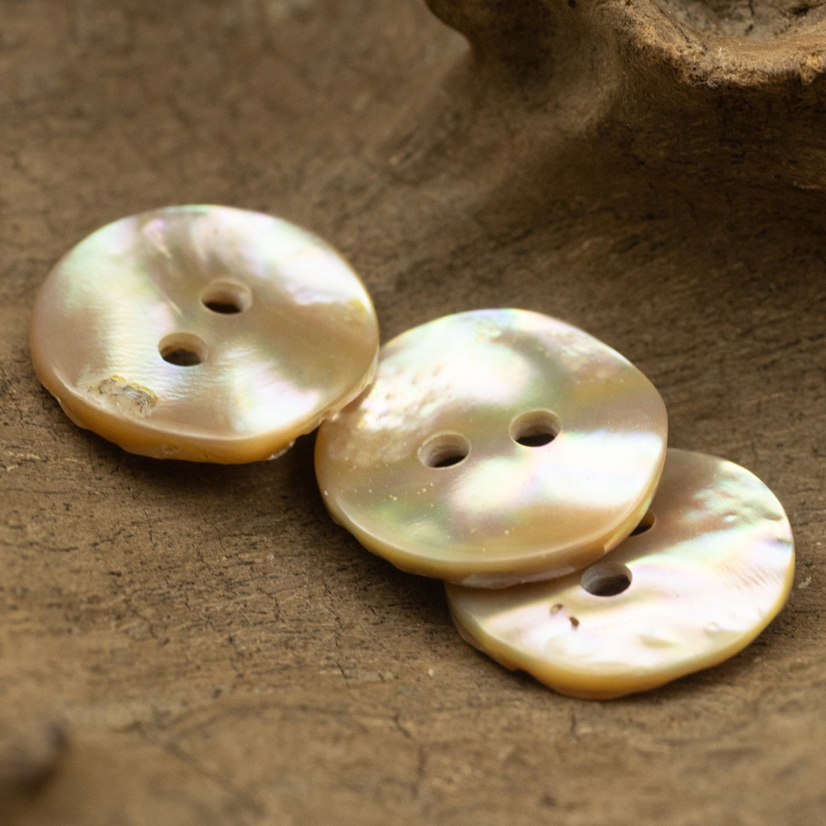 Abalone Shell Button for Clothing Irregular Surface Buttons