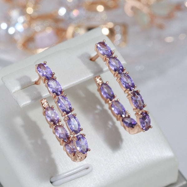 Luxury Full Claw Oval Purple Zircon Metal Earrings