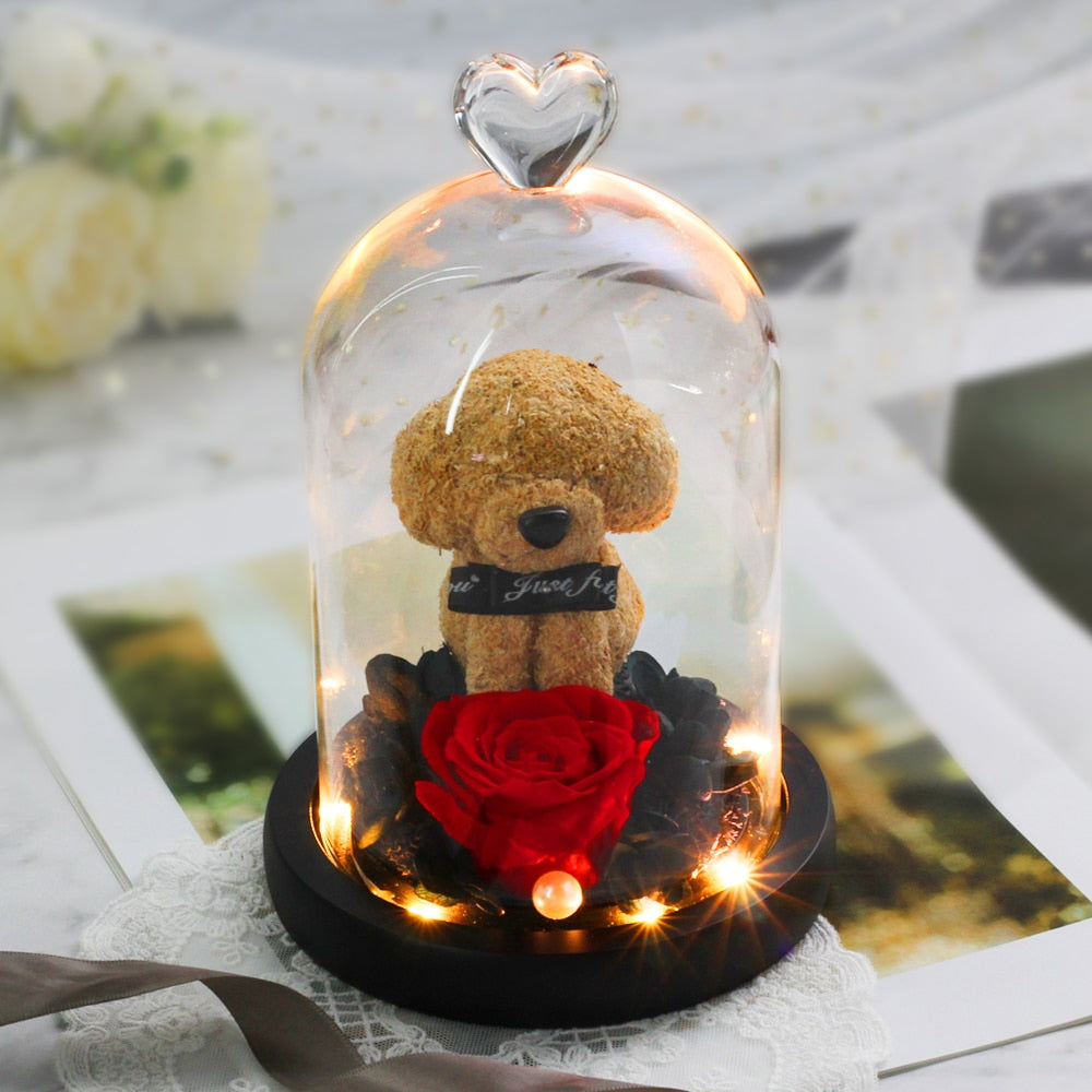 Christmas Gift Beauty And The Beast Rose In Glass Dome Dried Flower Decoration