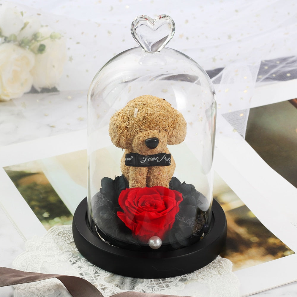 Christmas Gift Beauty And The Beast Rose In Glass Dome Dried Flower Decoration