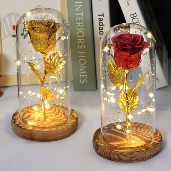 Christmas Gift -Rose Beauty and the Beast In A Glass Dome