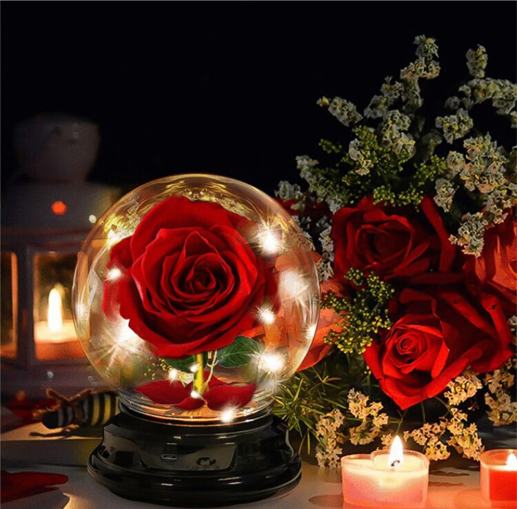 2 LED Mode Lighte Eternal Rose Preserved Flower In Glass Dome  Mothers Day Birthday Gift