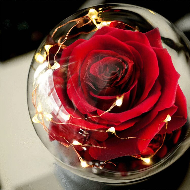 2 LED Mode Lighte Eternal Rose Preserved Flower In Glass Dome  Mothers Day Birthday Gift