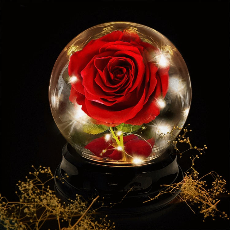 2 LED Mode Lighte Eternal Rose Preserved Flower In Glass Dome  Mothers Day Birthday Gift