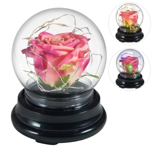 2 LED Mode Lighte Eternal Rose Preserved Flower In Glass Dome  Mothers Day Birthday Gift