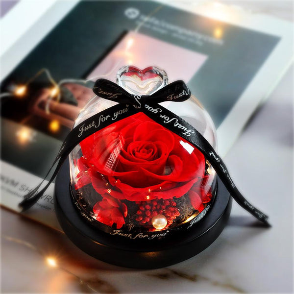 Beauty And The Beast Red Rose Flowers Rose In Glass Dome With Lights