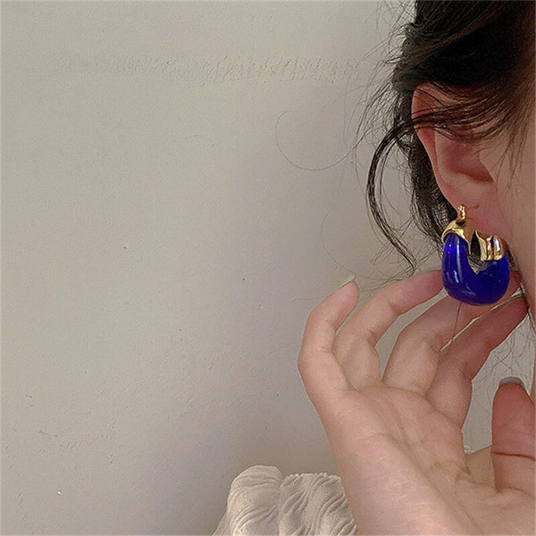 Transparent U-shaped Resin Personality Earrings