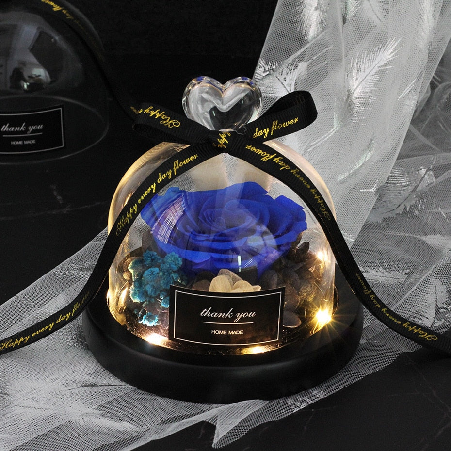 Exclusive Rose in Glass Dome with Lights  day gift home decor