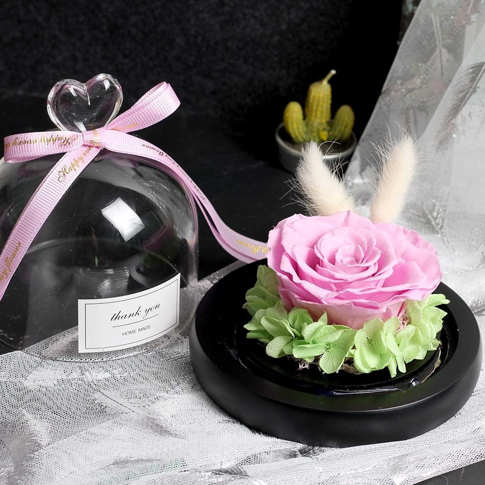 Exclusive Rose in Glass Dome with Lights  day gift home decor