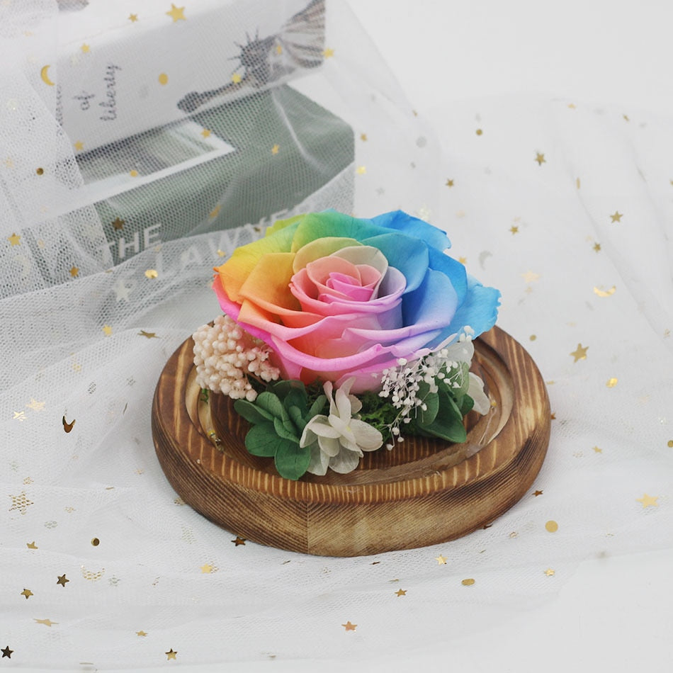 Exclusive Rose in Glass Dome with Lights  day gift home decor