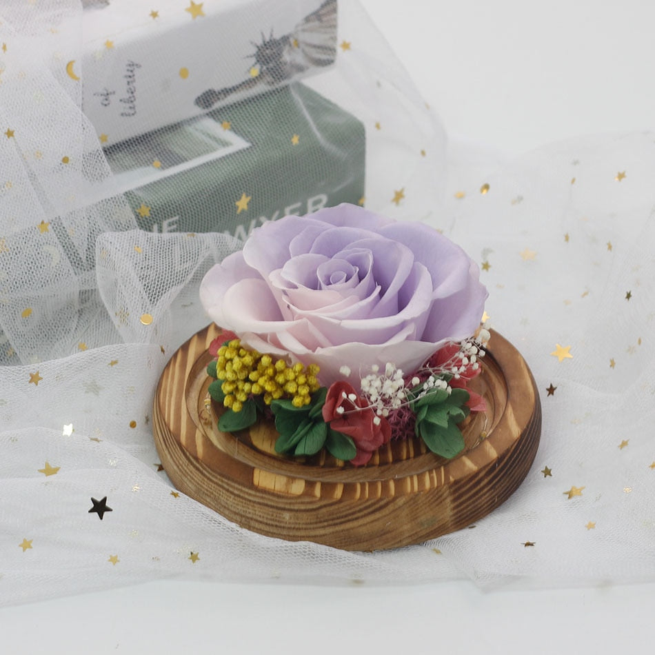 Exclusive Rose in Glass Dome with Lights  day gift home decor