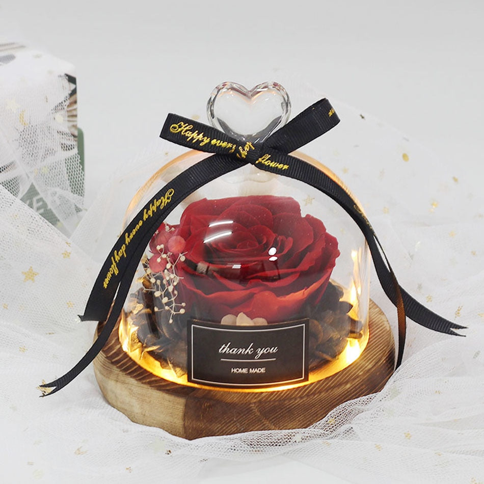 Exclusive Rose in Glass Dome with Lights  day gift home decor