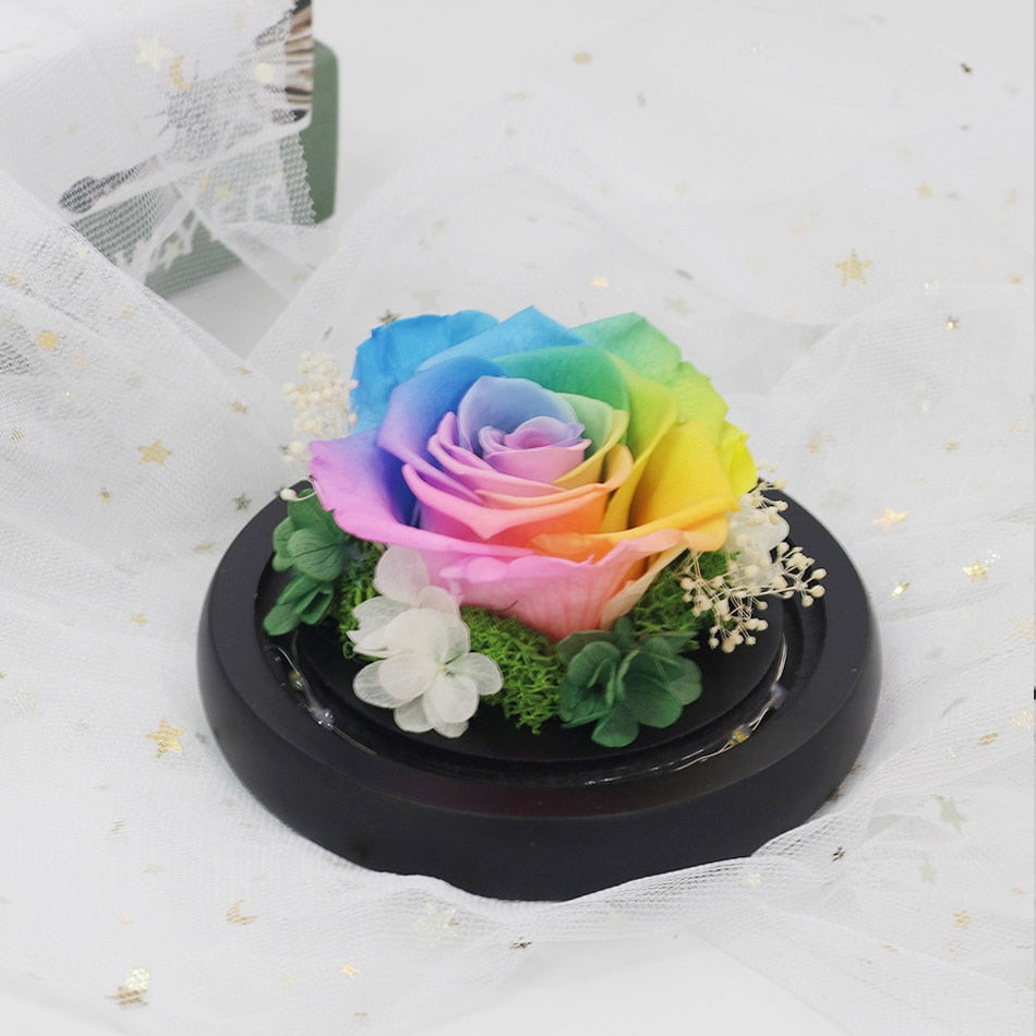 Exclusive Rose in Glass Dome with Lights  day gift home decor