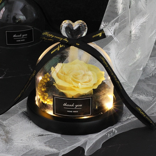 Exclusive Rose in Glass Dome with Lights  day gift home decor