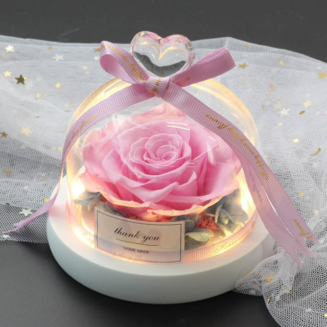 Exclusive Rose in Glass Dome with Lights  day gift home decor