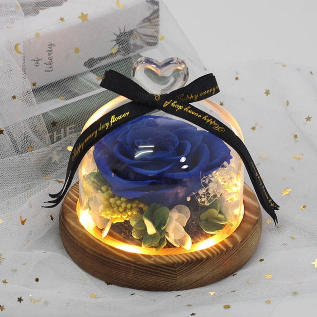 Exclusive Rose in Glass Dome with Lights  day gift home decor