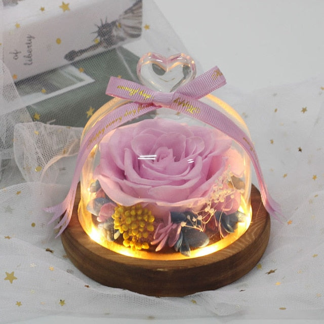 Exclusive Rose in Glass Dome with Lights  day gift home decor