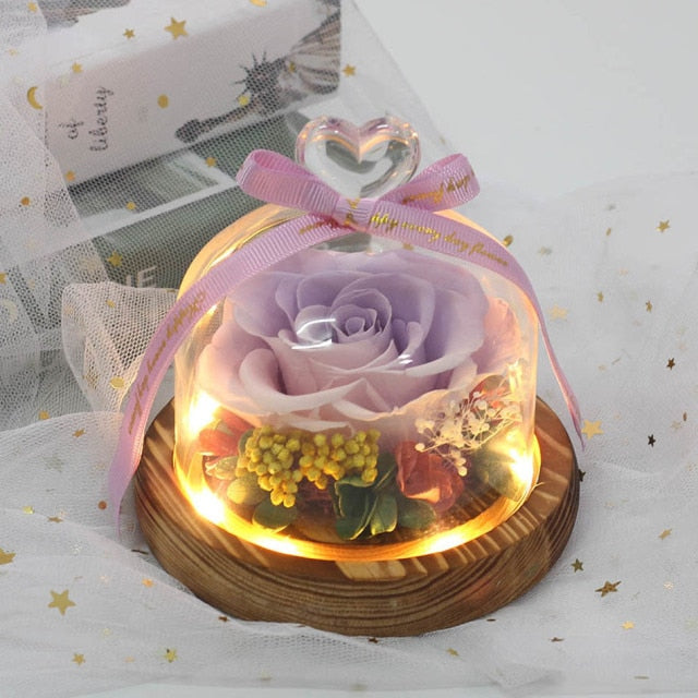 Exclusive Rose in Glass Dome with Lights  day gift home decor