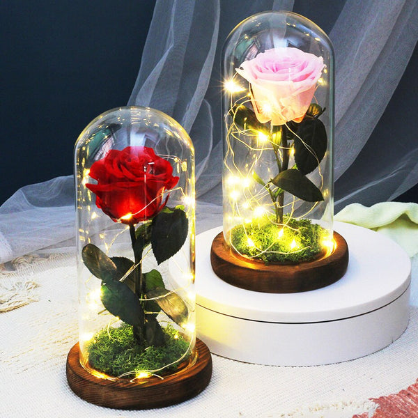 Dried flowers preserved roses