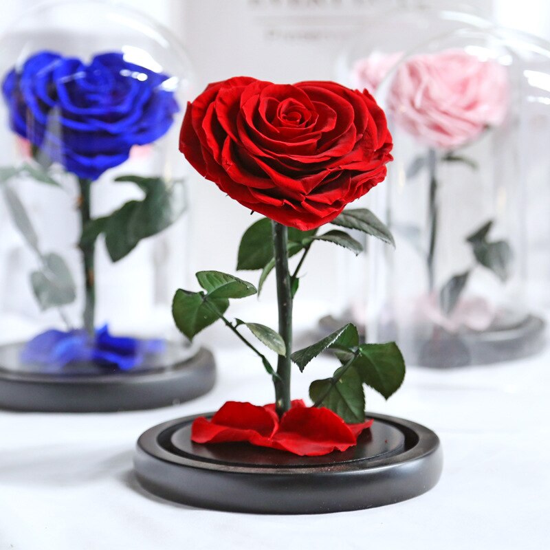 Beauty and The Beast Roses Heart Shape Real Preserved Flowers In Glass