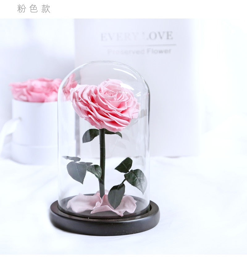 Beauty and The Beast Roses Heart Shape Real Preserved Flowers In Glass