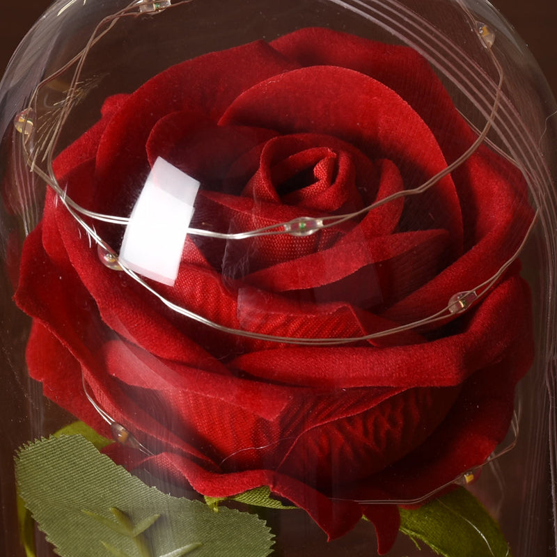 Eternal Red Rose With LED Light In Glass Dome For Wedding  Party  Gift