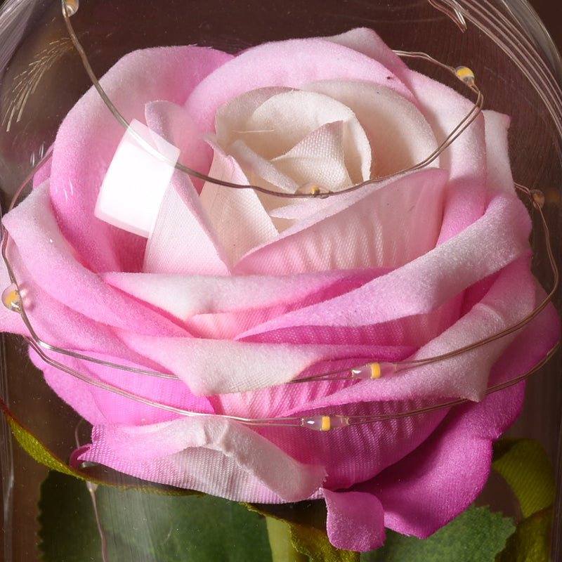 Eternal Red Rose With LED Light In Glass Dome For Wedding  Party  Gift