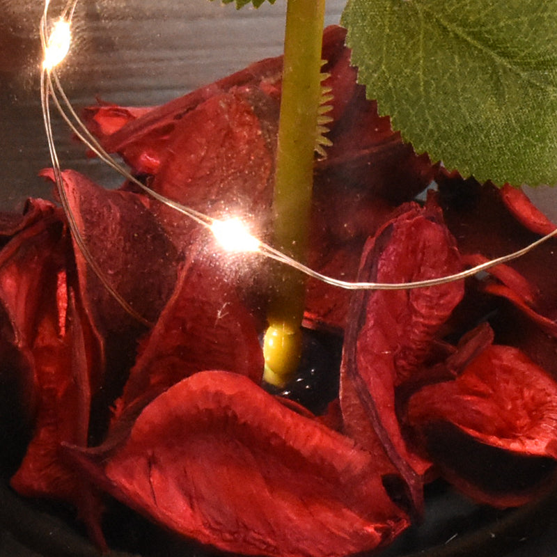 Eternal Red Rose With LED Light In Glass Dome For Wedding  Party  Gift