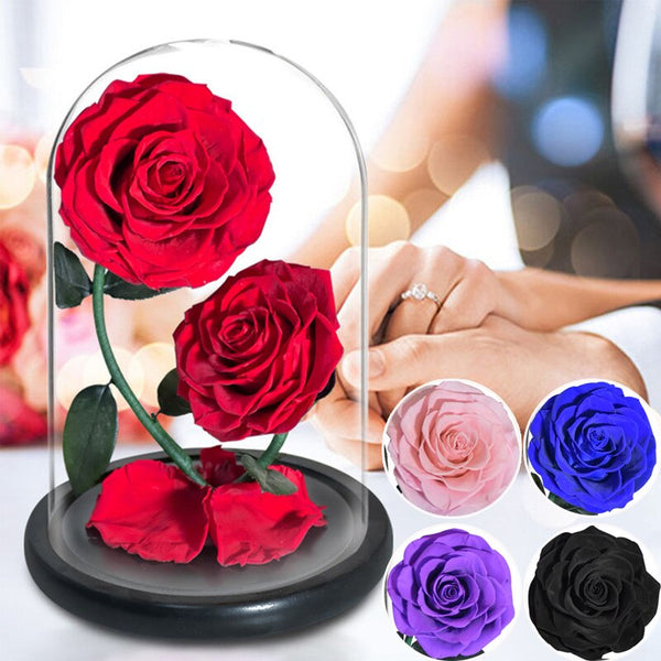 2 Heads Eternal Rose In Glass Dome Beauty and The Beast  Wedding Gift