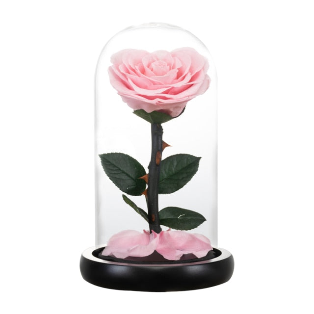 Galaxy Rose Forever Preserved Eternal Roses Flowers In Glass For Christmas Valentine Gifts