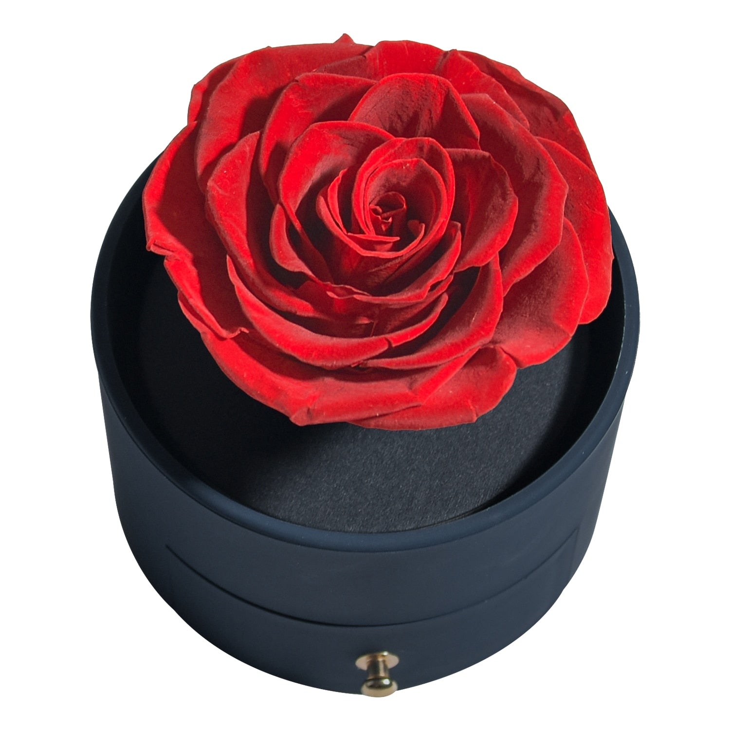 Acrylic Box Preserved Rose Eternal Roses Forever Flower Jewelry Box