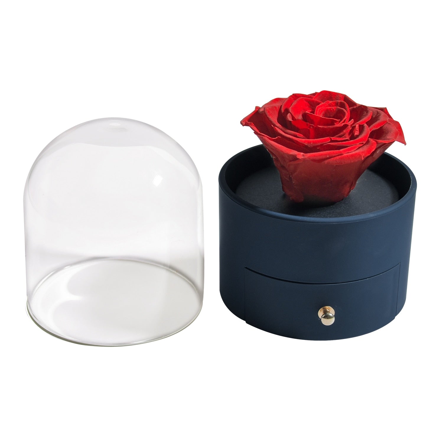 Acrylic Box Preserved Rose Eternal Roses Forever Flower Jewelry Box