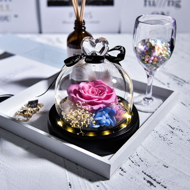 Beauty and The Beast Preserved Roses in Glass Forever Eternal Rose With LED