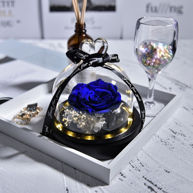 Beauty and The Beast Preserved Roses in Glass Forever Eternal Rose With LED