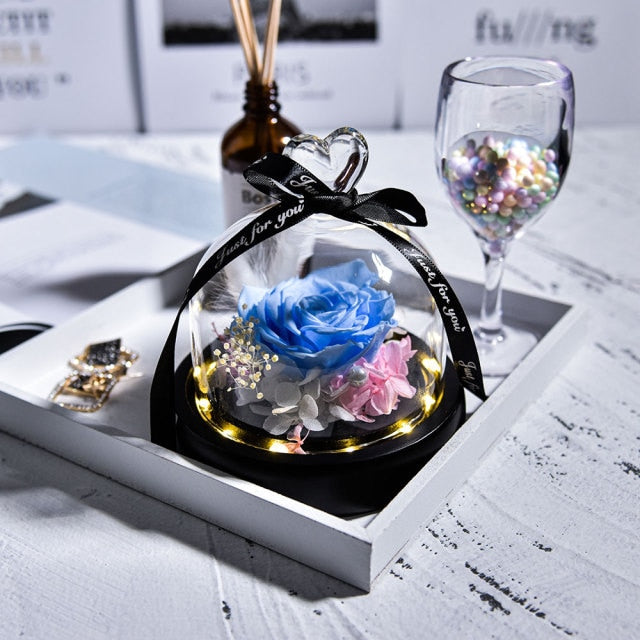 Beauty and The Beast Preserved Roses in Glass Forever Eternal Rose With LED