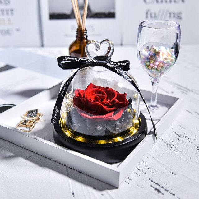 Beauty and The Beast Preserved Roses in Glass Forever Eternal Rose With LED