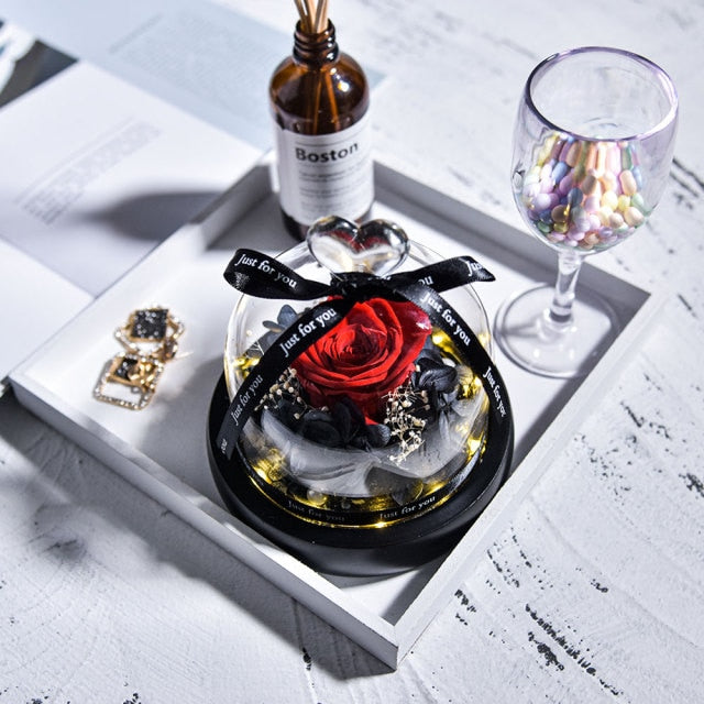 Beauty and The Beast Preserved Roses in Glass Forever Eternal Rose With LED