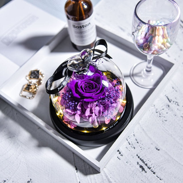 Beauty and The Beast Preserved Roses in Glass Forever Eternal Rose With LED