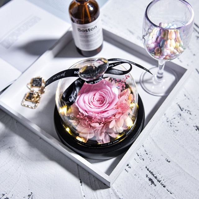 Beauty and The Beast Preserved Roses in Glass Forever Eternal Rose With LED