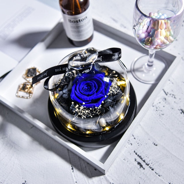 Beauty and The Beast Preserved Roses in Glass Forever Eternal Rose With LED