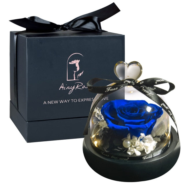 Beauty and The Beast Preserved Roses in Glass Forever Eternal Rose With LED