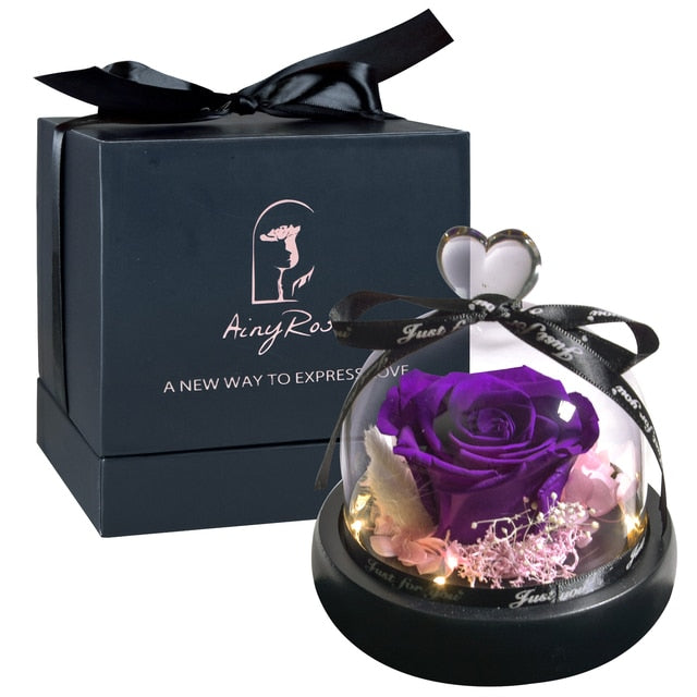 Beauty and The Beast Preserved Roses in Glass Forever Eternal Rose With LED