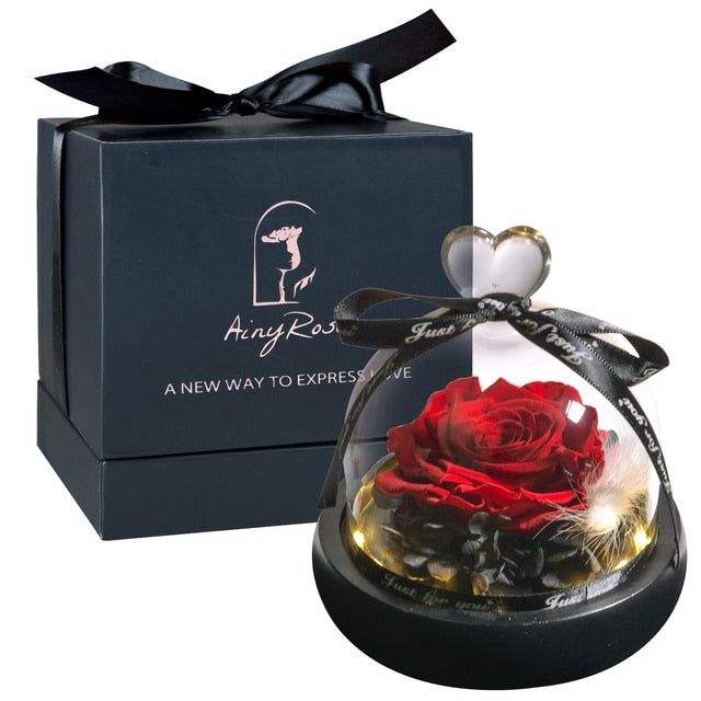 Beauty and The Beast Preserved Roses in Glass Forever Eternal Rose With LED