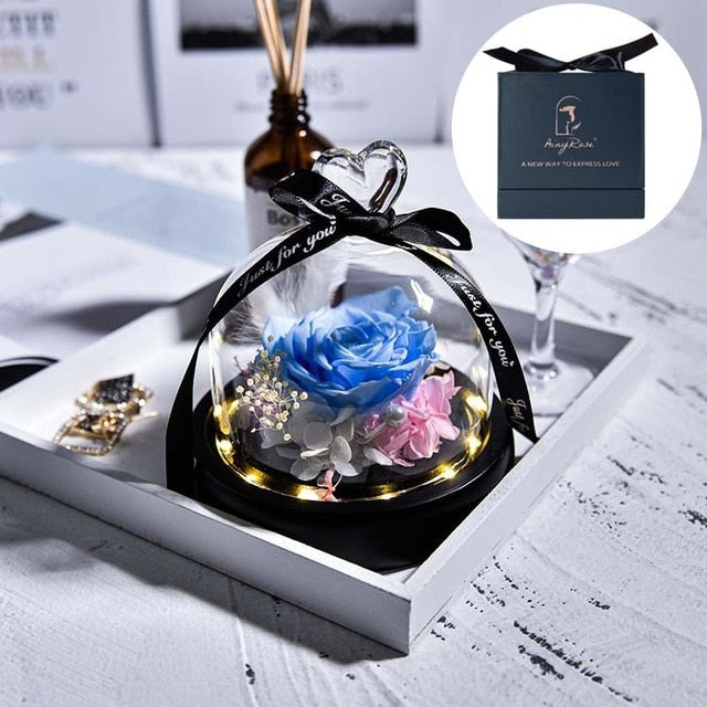 Beauty and The Beast Preserved Roses in Glass Forever Eternal Rose With LED